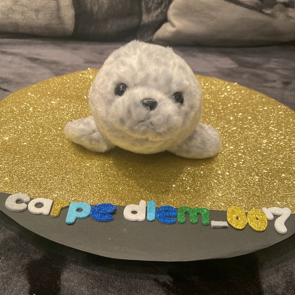 🍭2/$25 🦭 Adorable Aurora little grey seal